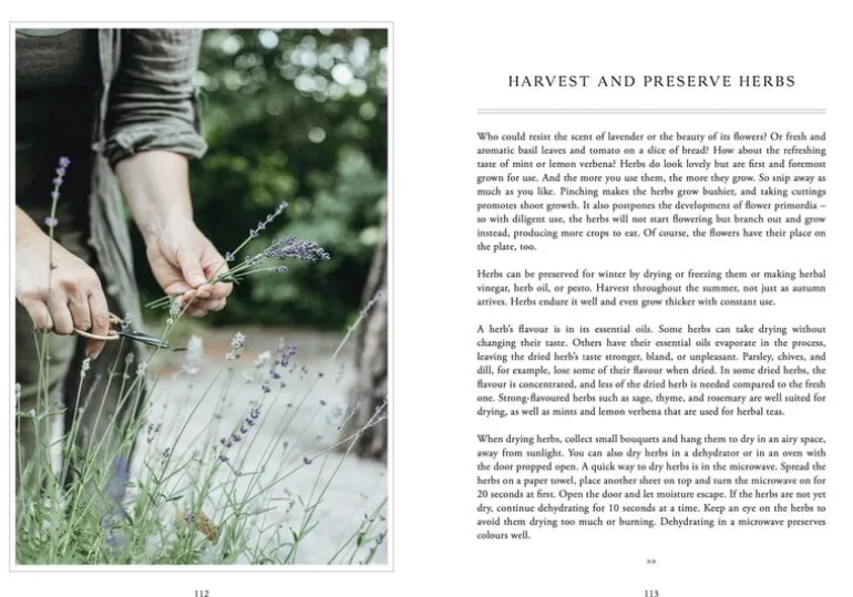 Cozy Publishing Living With Herbs