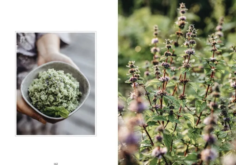 Cozy Publishing Living With Herbs