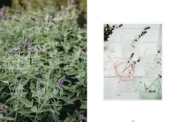 Cozy Publishing Living With Herbs