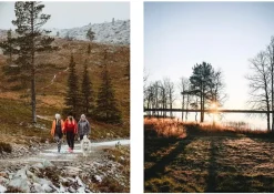 Cozy Publishing Recept och Oförglömliga Upplevelser: Lapplands 8 Årstider