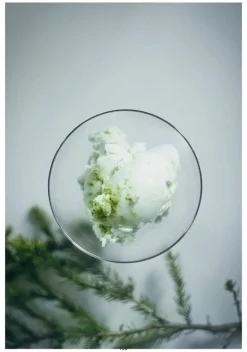 Cozy Publishing Recept och Oförglömliga Upplevelser: Lapplands 8 Årstider