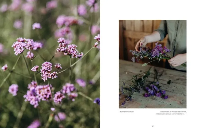 Cozy Publishing Where Flowers Bloom