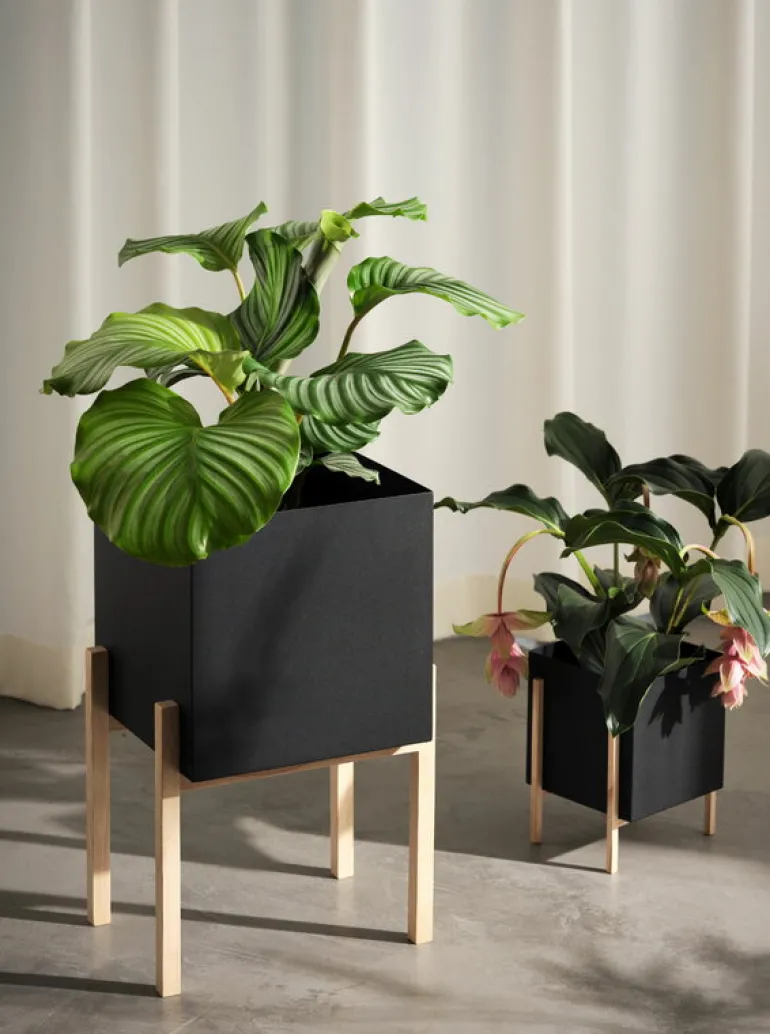 Design House Stockholm Botanic Pedestal kruka