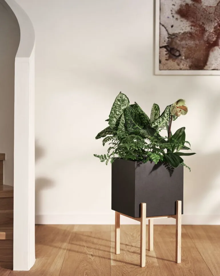 Design House Stockholm Botanic Pedestal kruka