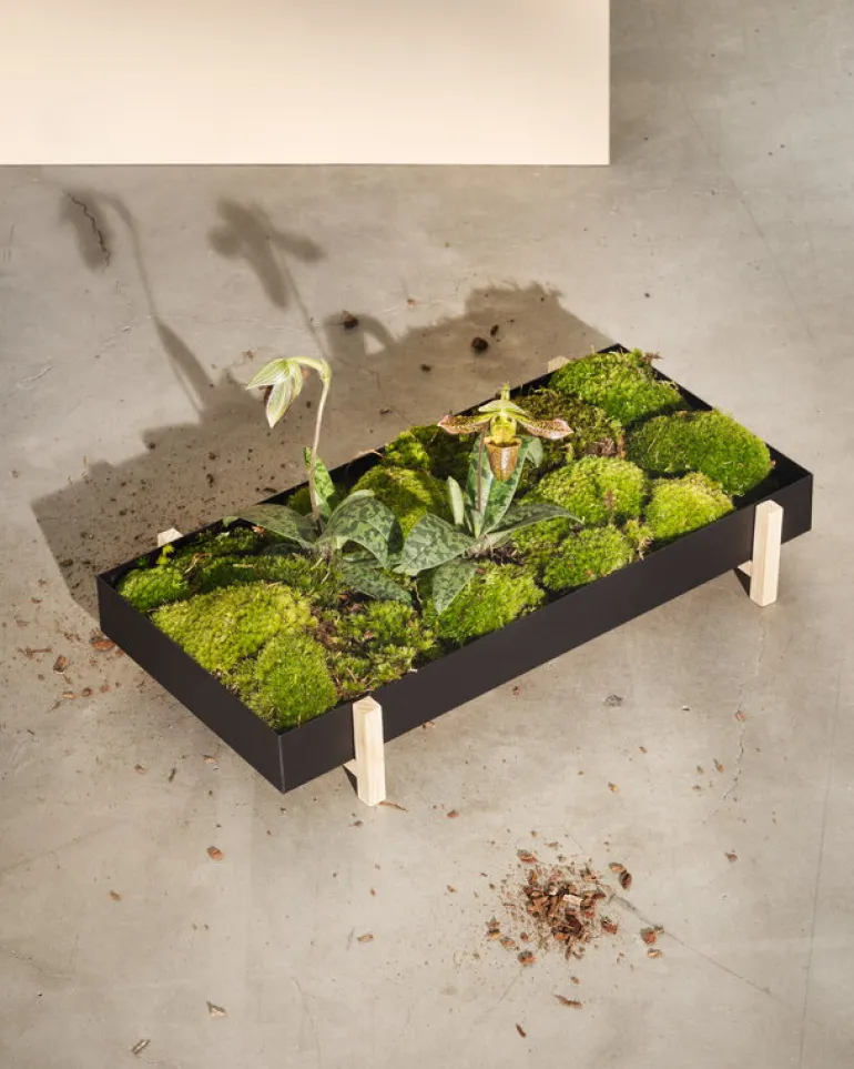 Design House Stockholm Botanic blomsterbricka