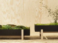 Design House Stockholm Botanic blomsterbricka