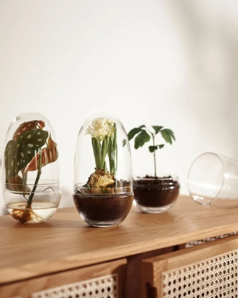 Design House Stockholm Grow miniväxthus, M