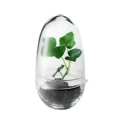 Design House Stockholm Grow mini växthus, S