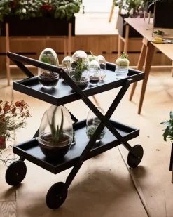 Design House Stockholm Grow mini växthus, S