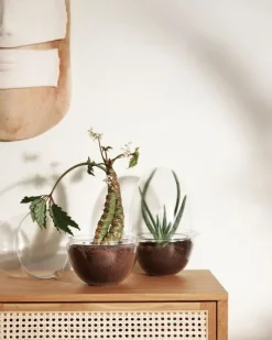 Design House Stockholm Grow miniväxthus, L