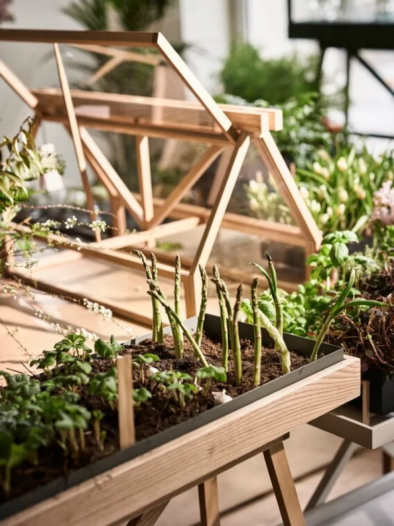 Design House Stockholm Växthus, ask