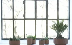 Elementa Klorofyll 150 blomkruka, terrakotta