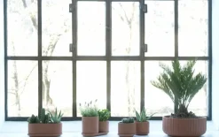 Elementa Klorofyll Jardinaire blomkruka, terrakotta