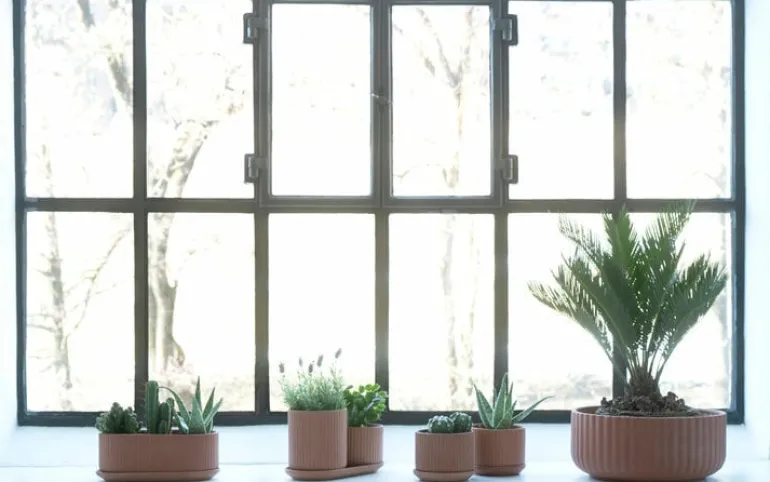 Elementa Klorofyll set med blomkrukor, terrakotta