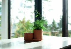 Elementa Klorofyll set med blomkrukor, terrakotta