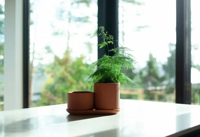 Elementa Klorofyll set med blomkrukor, terrakotta