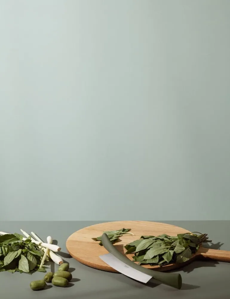 Eva Solo Green Tool örtvaggkniv, grön