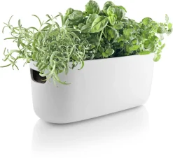 Eva Solo Örtbehållare, självvattnande, vit