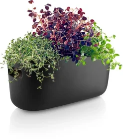 Eva Solo Örtbehållare, självvattnande, svart