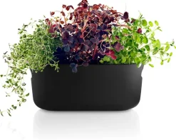 Eva Solo Örtbehållare, självvattnande, svart