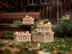 FDB Møbler X1 äppellåda, storlek 5, ek