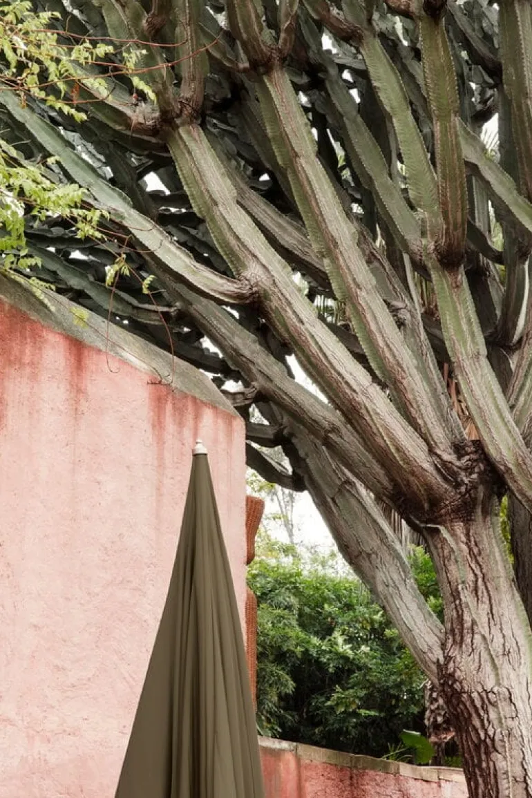 ferm LIVING Lull parasoll, bok - olivgrön