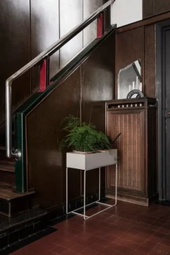 ferm LIVING Plant Box bricka, oljad ek