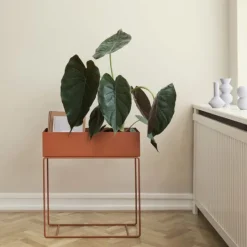 ferm LIVING Plant Box, svart