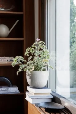 ferm LIVING Speckle kruka