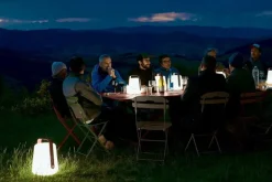 Fermob Aplô bärbar lampa H24, kaktus