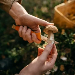 Fiskars Fiskars, svampkniv, 21 cm, orange