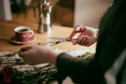 Fiskars Fiskars x Iittala sax, Taika-röd