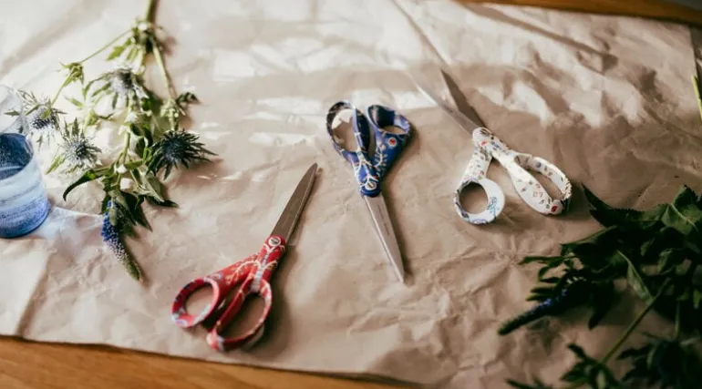 Fiskars Fiskars x Iittala sax, Taika-röd