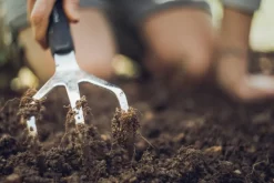 Fiskars Xact handluckrare