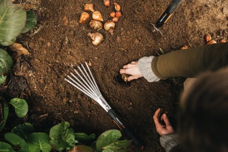 Fiskars Xact handräfsa