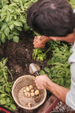 Fiskars Xact planteringsspade