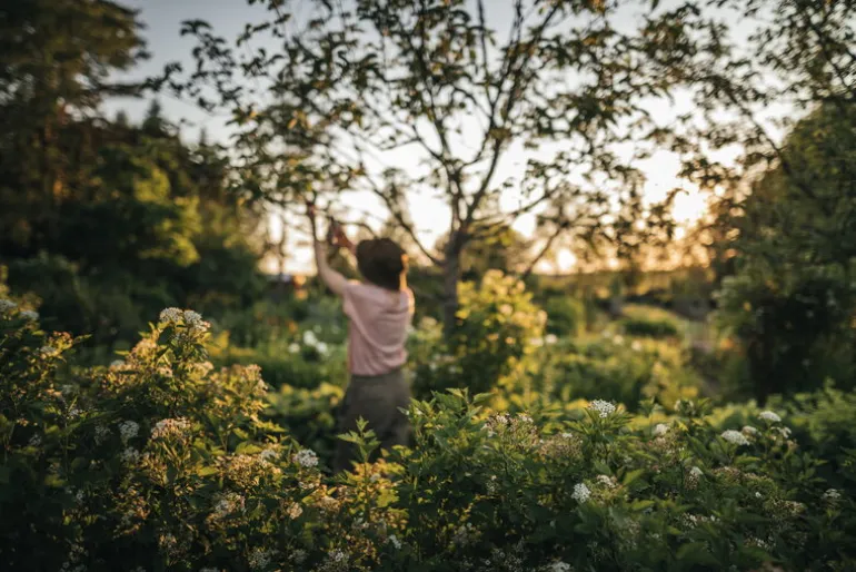 Fiskars X-Series sekatör med sidoskär L, P961