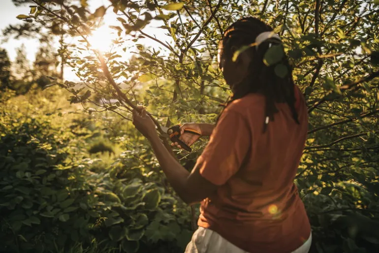 Fiskars X-Series sekatör med sidoskär L, P961