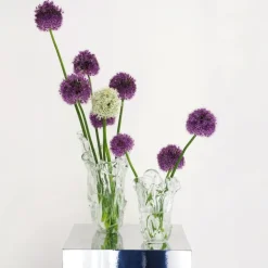 Fólk Reykjavík Lava vas, stor