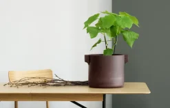 Fogia Keramikkruka, brun