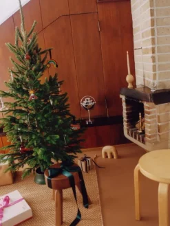 Frama AML pall, oljad furu