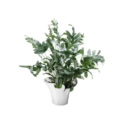 Georg Jensen Bloom Botanica blomkruka, M, rostfritt stål