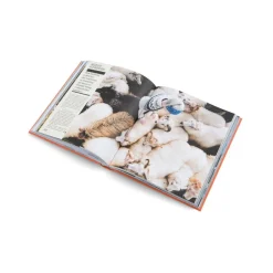 Gestalten The New Traditional: Heritage, Craftsmanship, and Local Identity