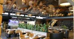 Graypants Moon24 taklampa, naturlig