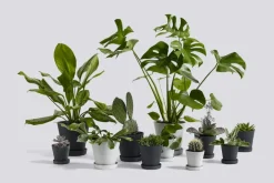 HAY Flowerpot kruka och fat, XL, grå