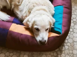 HAY HAY Dogs bädd, L, vinröd - grön