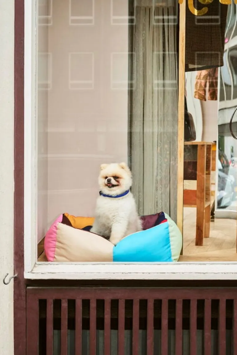 HAY HAY Dogs bädd, S, flerfärgad