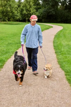 HAY HAY Dogs koppel, platt, M–L, röd - blå