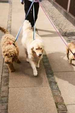 HAY HAY Dogs koppel, platt, M–L, lavendel - grön