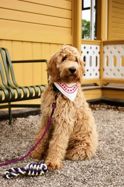 HAY HAY Dogs koppel, tvinnat, röd - blå